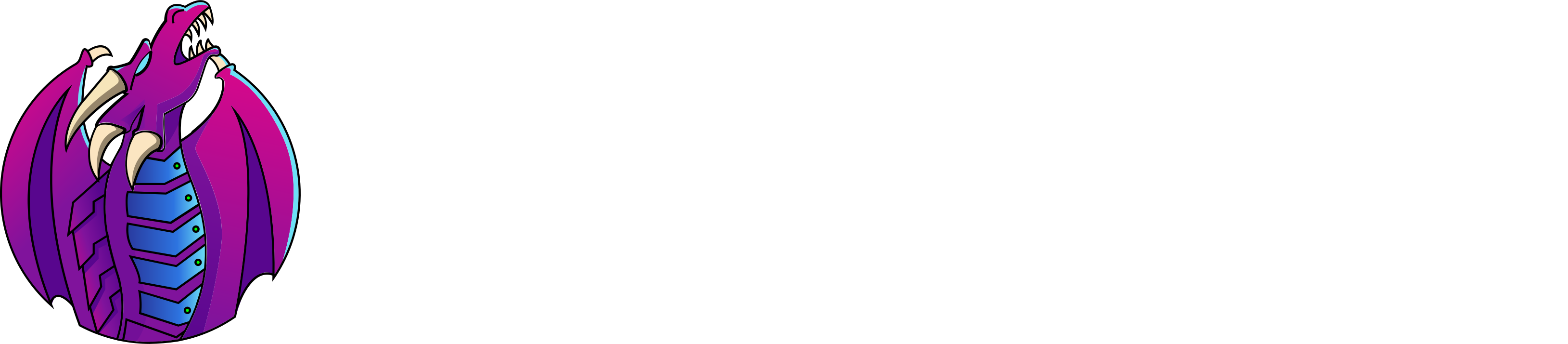 Hostragons Global Limited